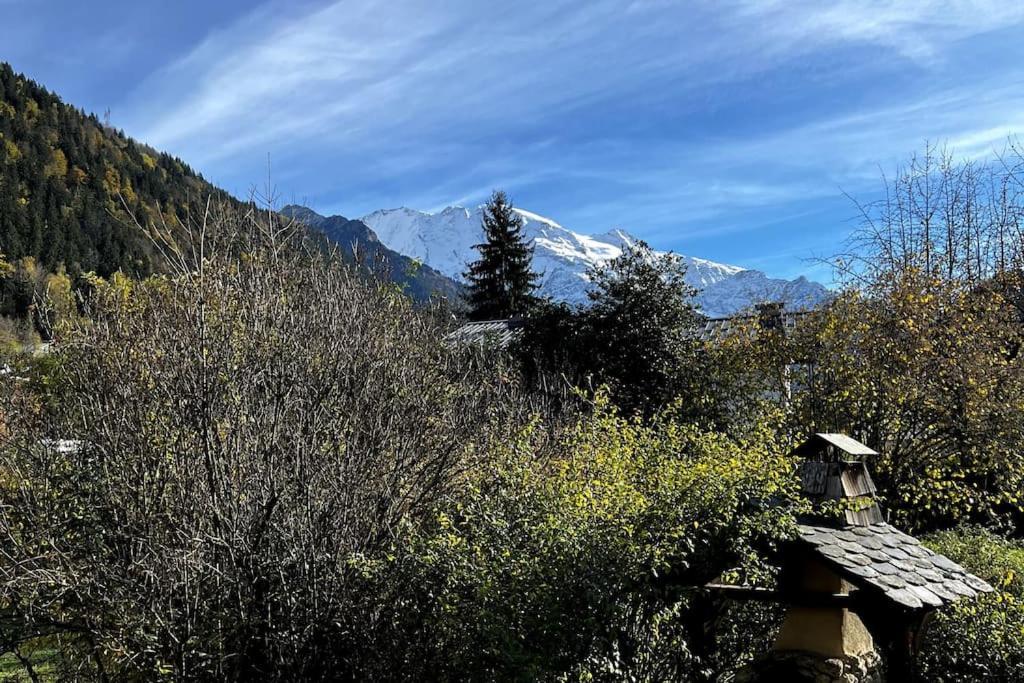 Appartement Dans Chalet - 75 M2 - 4 A 6 Personnes サン・ジェルヴェ・レ・バン エクステリア 写真